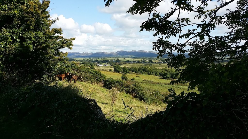 /posts/2014/10/2014-10-26-sligo-ireland/images/20140823_162049_Unnamed-2BRd.jpg /posts/2014/10/2014-10-26-sligo-ireland/images/20140823_162049_Unnamed-2BRd.jpg