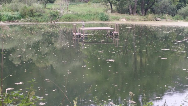 IMG_20150901_115008 /posts/2015/09/2015-09-06-bodensee-to-rodenberg-germany/images/IMG_20150901_115008-600x338.jpg