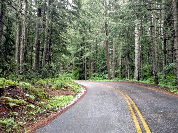 IMG_20160614_165444041 /posts/2016/07/2016-07-03-crossing-the-cascades-or-a-day-in-the-life-of-a-novice-bike-tourist/images/IMG_20160614_165444041-600x450.jpg