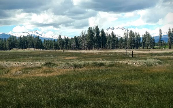 IMG_20160615_112830940 /posts/2016/07/2016-07-03-crossing-the-cascades-or-a-day-in-the-life-of-a-novice-bike-tourist/images/IMG_20160615_112830940-600x375.jpg